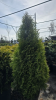 IMG_20260413_105315