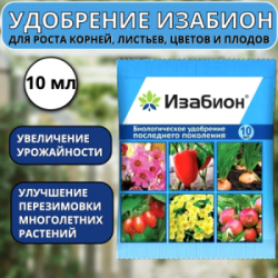 Снимок_экрана_2024-01-05_в_15.57.45