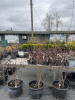v8_00287b1e_2d
